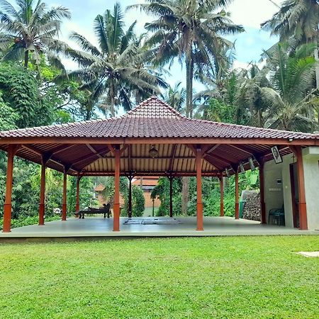 As I Am Ubud Retreat Dış mekan fotoğraf