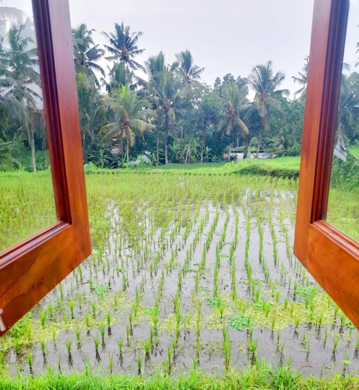 As I Am Ubud Retreat Oda fotoğraf