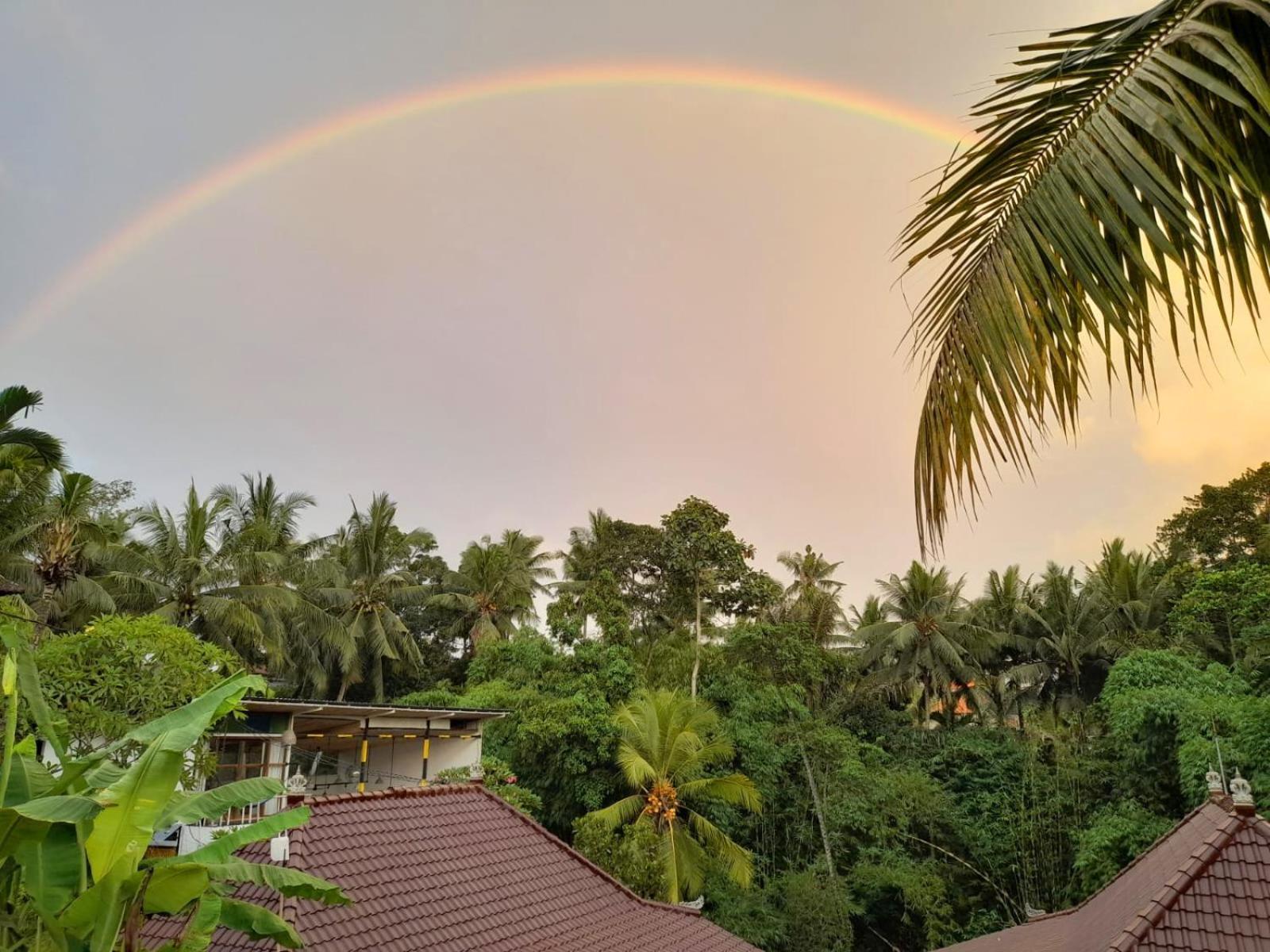 As I Am Ubud Retreat Dış mekan fotoğraf