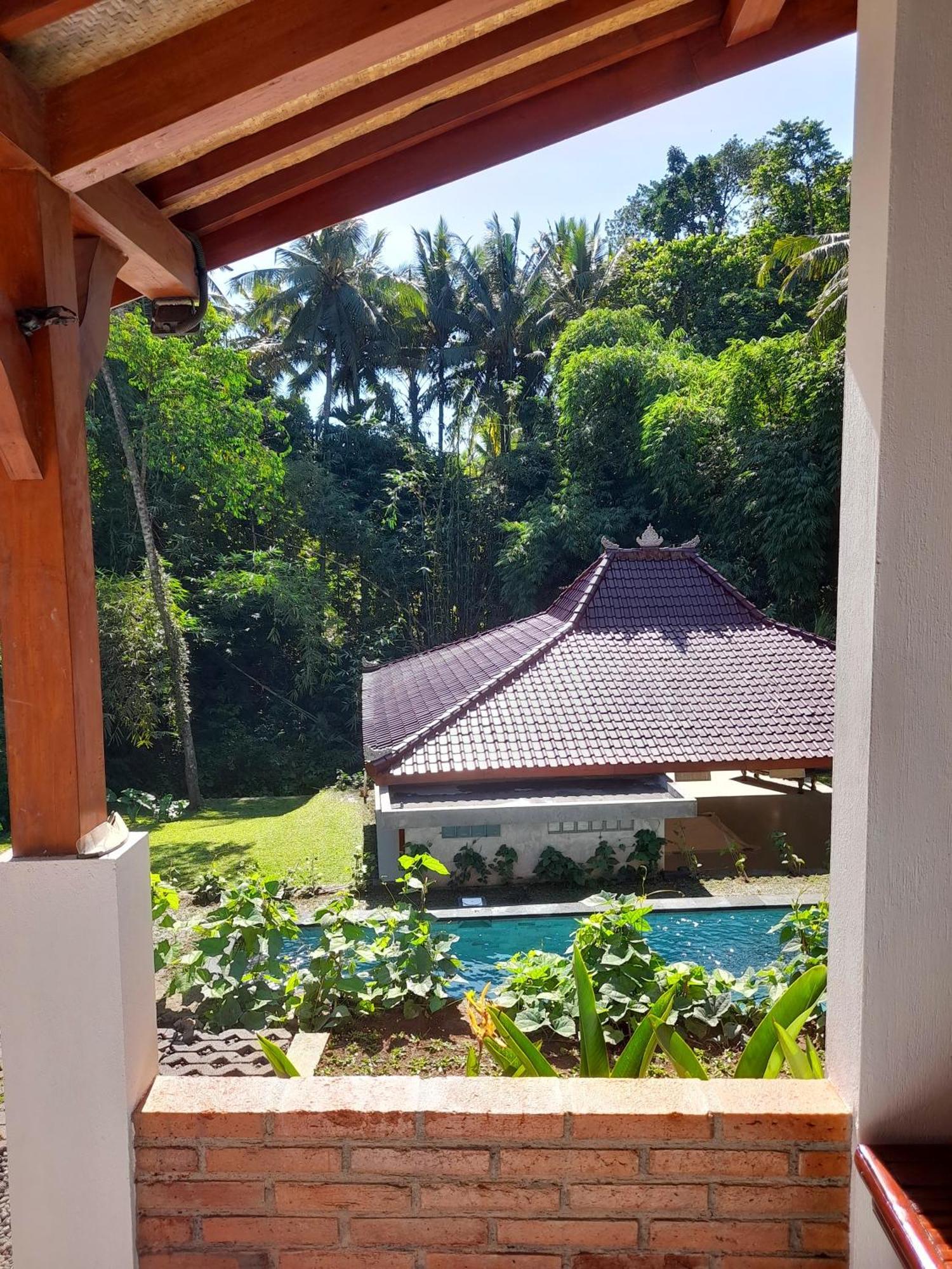 As I Am Ubud Retreat Dış mekan fotoğraf